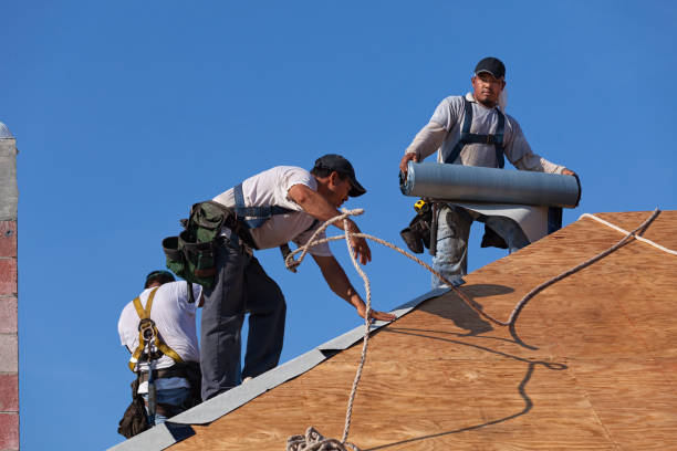 Best Roof Restoration Services  in Lucedale, MS