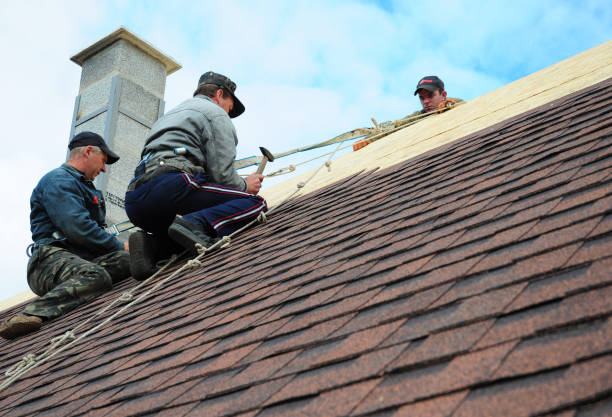 Best Gutter Installation and Roofing  in Lucedale, MS