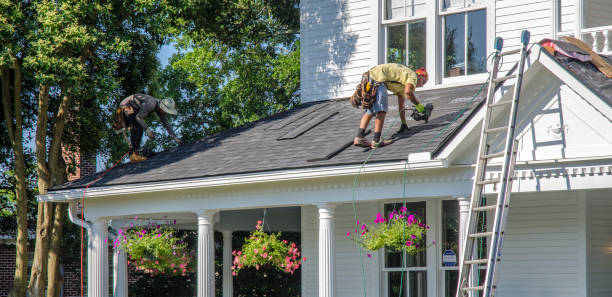 Best Shingle Roofing Installation  in Lucedale, MS